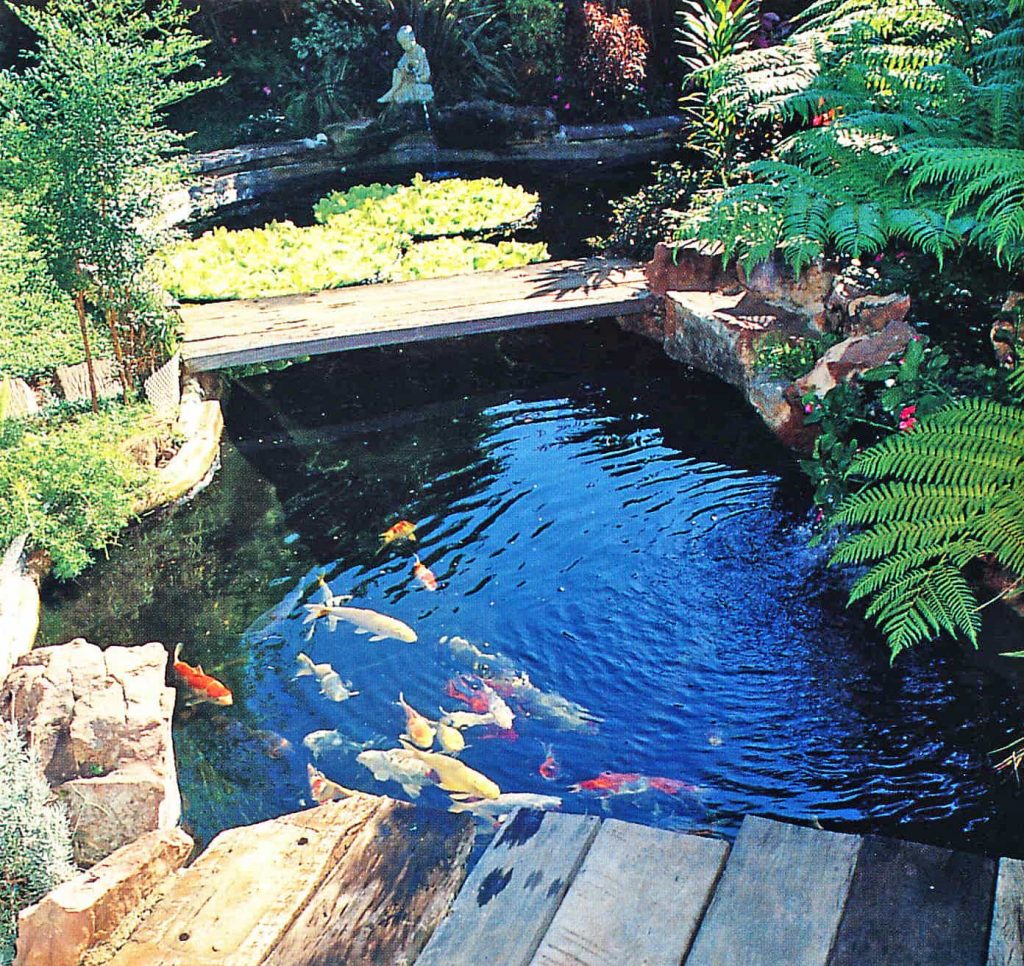 pond pool ideas